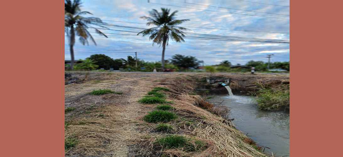 ขาย ที่ดิน ใกล้ตัวเมืองลพบุรี ขายที่ดิน36ไร่ ถูกกว่าใกล้เคียง ที่ดินผืนใหญ่ราคาถูกลพบุรี เหมาะลงทุนระยะยาว