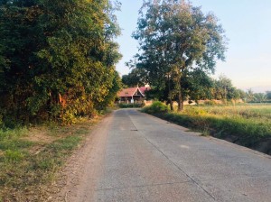 ขาย ที่ดิน เข้าออกหมู่บ้านได้2เส้นทาง น้ำประปาไฟฟ้าผ่านหน้าที่นา ที่นา-ที่ดินราคาถูกนครราชสีมา ใกล้ถนนโชคชัย-เดชอุดม ใกล้ทางหลวงหมายเลข24