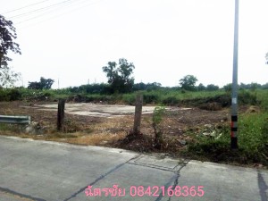 ขาย ที่ดิน โครงการเชิงพาณิชย์ เหมาะจัดสรรแบ่งขาย, ที่ดินธัญบุรีคลอง6,หรือปทุมธานี เหมาะทำหมู่บ้านจัดสรร ขายถูก