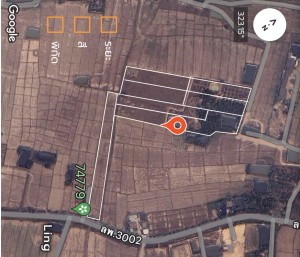 ที่ดิน ขาย ติดถนนบ้านบูชา-ป่าสัก เจ้าของขายเอง ตำบลป่าสัก ใกล้แหล่งชุมชน-ตลาด-ห้าง-โรงพยาบาล ขายที่ดินอำเภอเมืองลำพูนราคาถูก