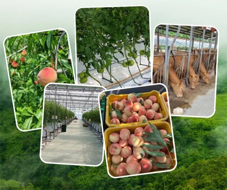 ประกาศ บริการ ไม่หลอกลวงทำงานต่างประเทศถูกกฎหมาย งานประเทศอิสราเอล รับจัดหางาน งานสวนประเทศออสเตรเลีย งานประเทศเกาหลีใต้